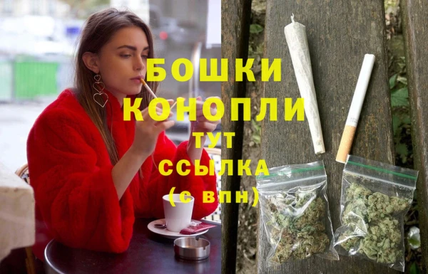 дживик Верхний Тагил