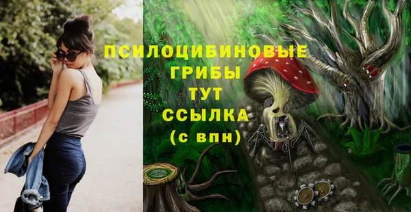 дживик Верхний Тагил
