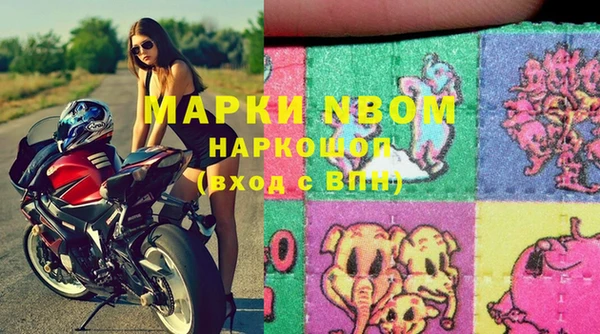 дживик Верхний Тагил