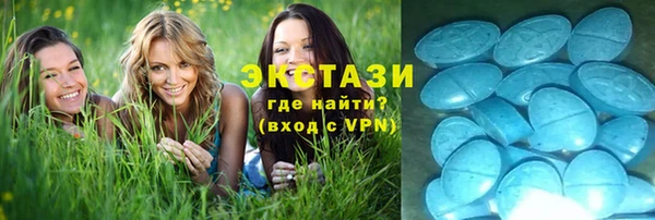 дживик Верхний Тагил